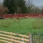 Spielburg *