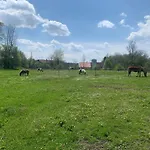 Spielburg 아파트 *