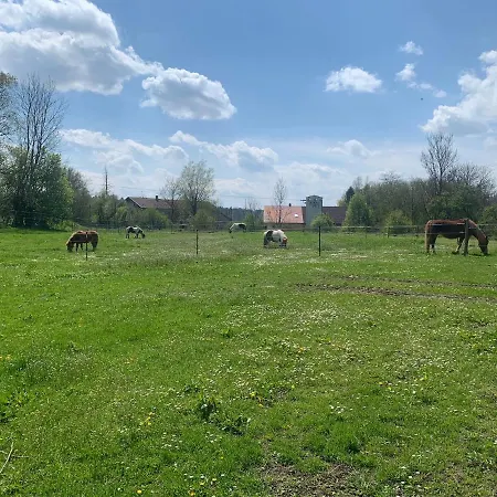 Spielburg Apartmán *